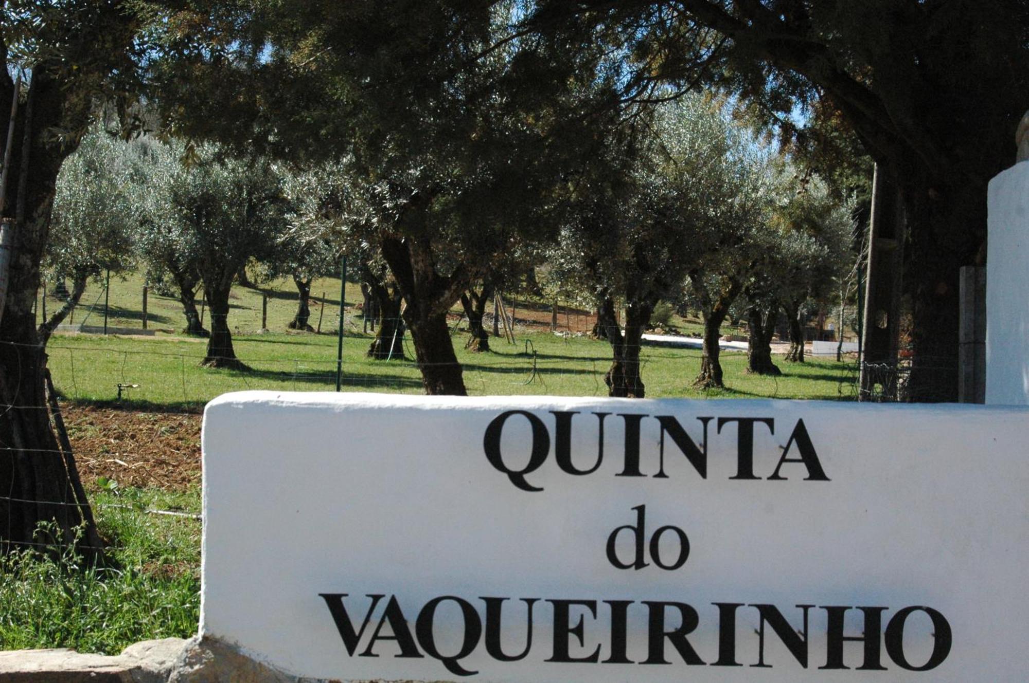 Villa Quinta Do Vaqueirinho - Agro-Turismo Marvão Esterno foto