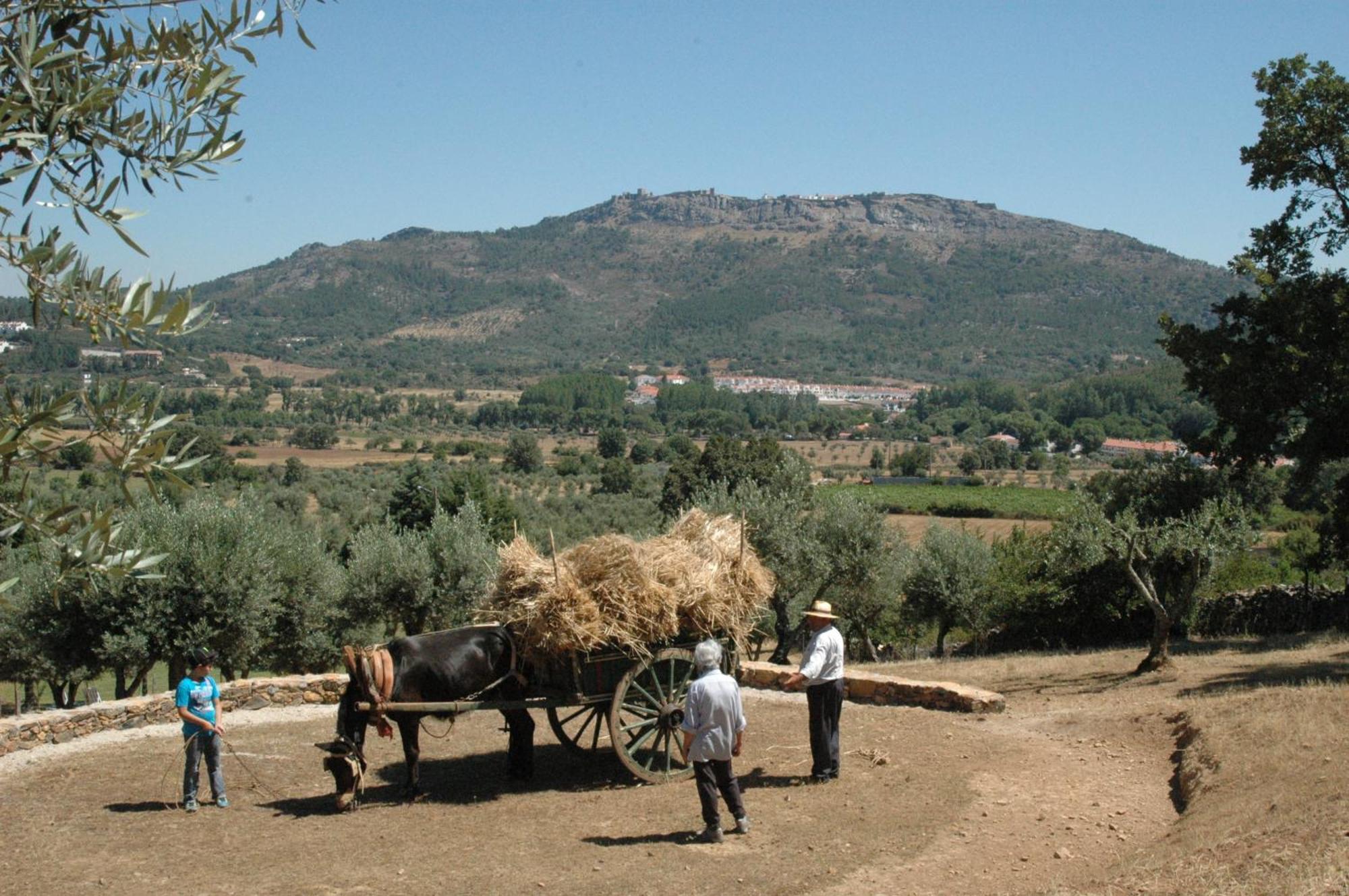 Villa Quinta Do Vaqueirinho - Agro-Turismo Marvão Esterno foto