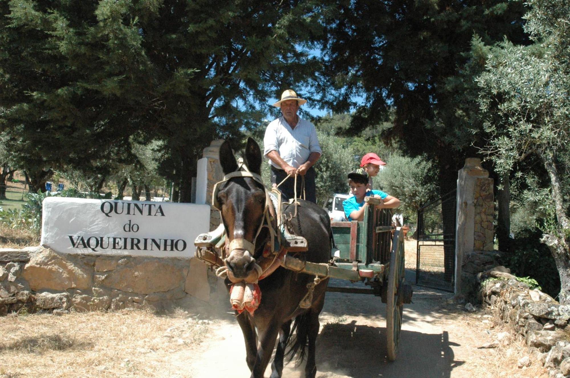 Villa Quinta Do Vaqueirinho - Agro-Turismo Marvão Esterno foto