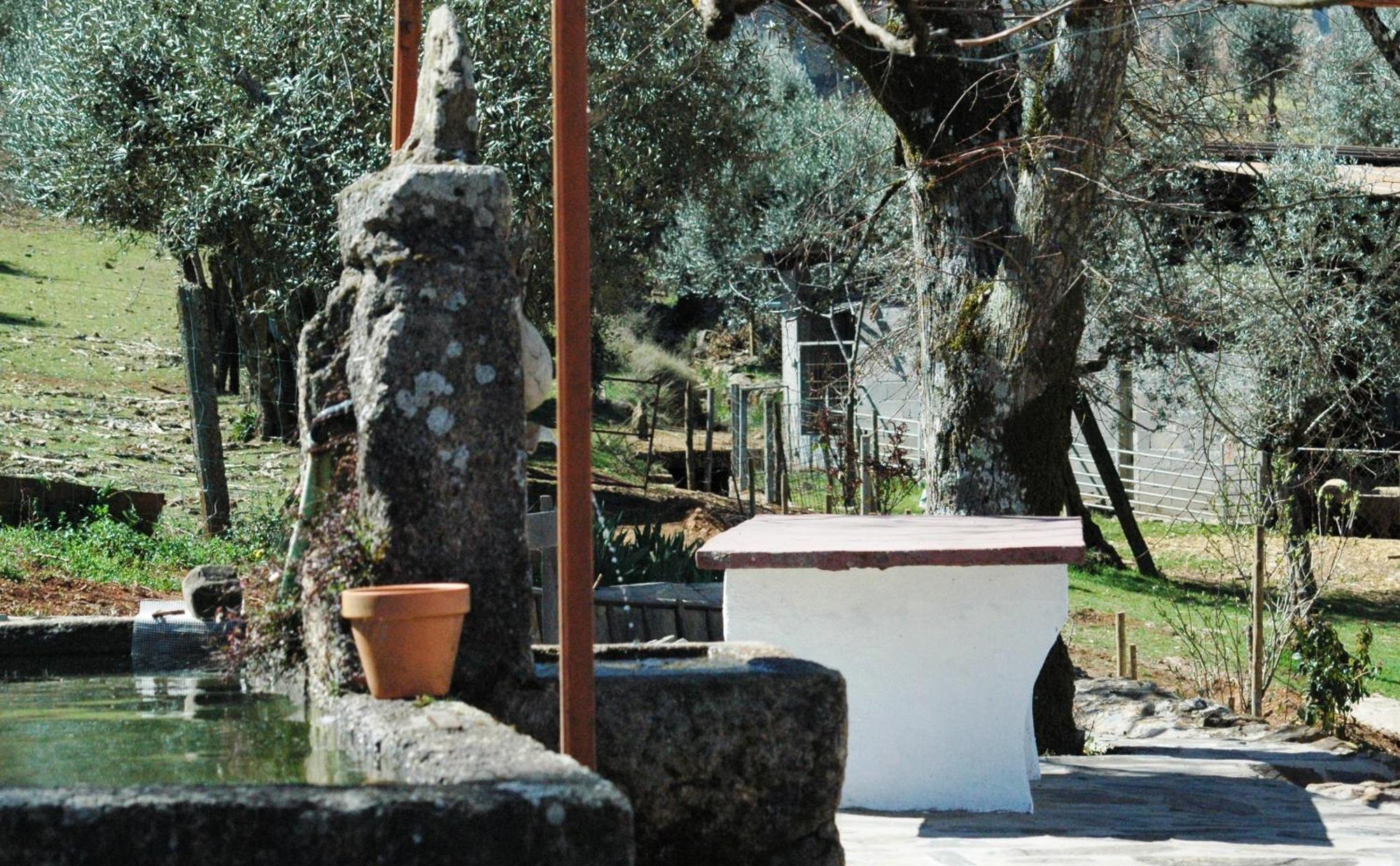 Villa Quinta Do Vaqueirinho - Agro-Turismo Marvão Esterno foto