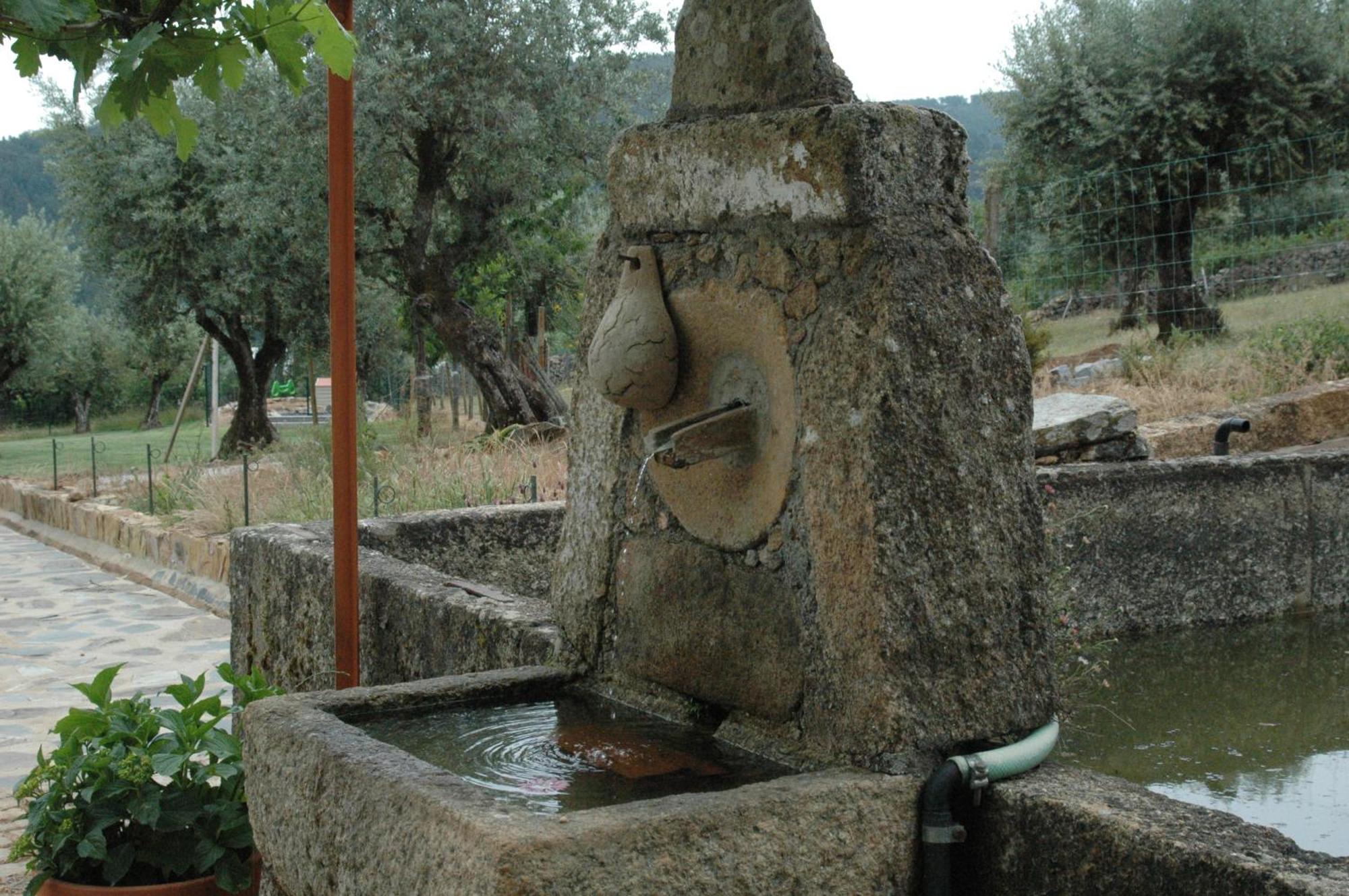 Villa Quinta Do Vaqueirinho - Agro-Turismo Marvão Esterno foto