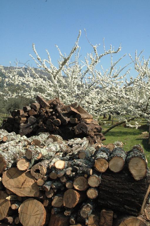 Villa Quinta Do Vaqueirinho - Agro-Turismo Marvão Esterno foto